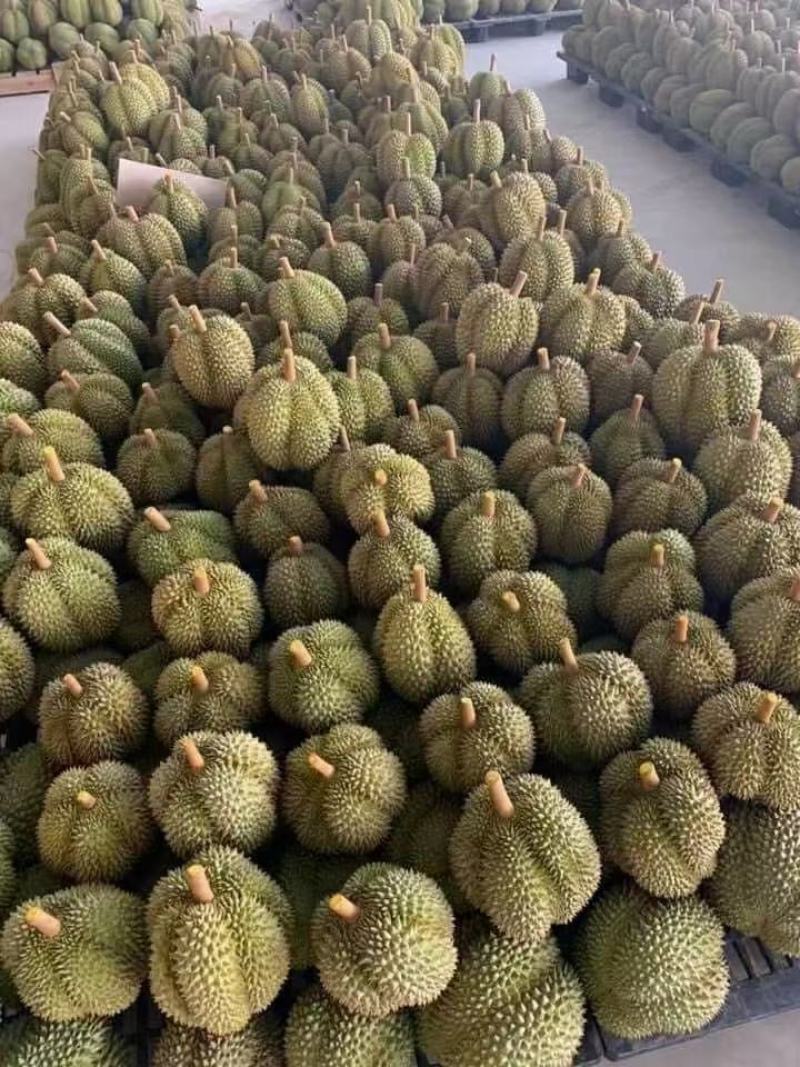 榴莲