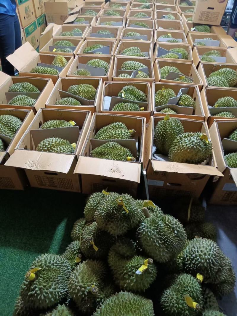榴莲