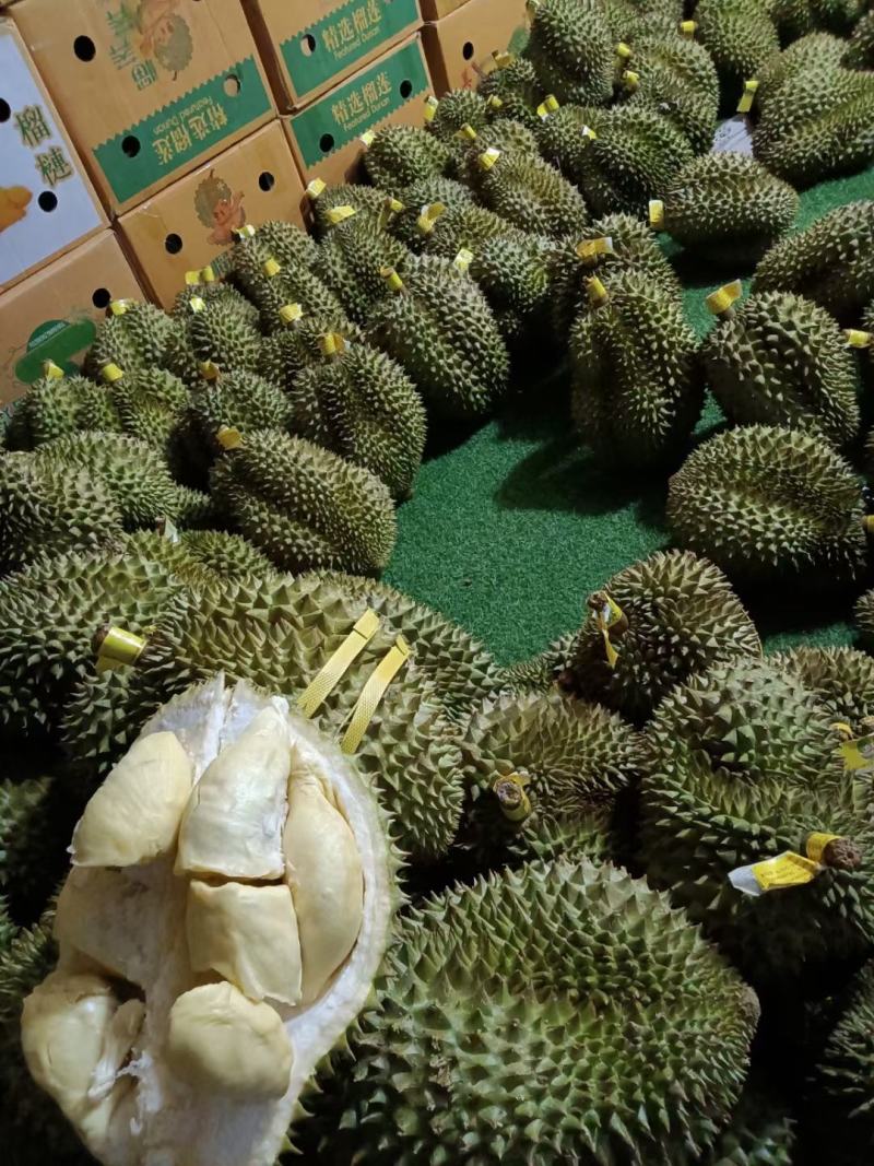 榴莲