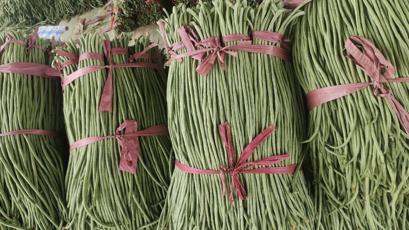 万亩长豆角大量上市，价格便宜，质量很好，欢迎老板合作1