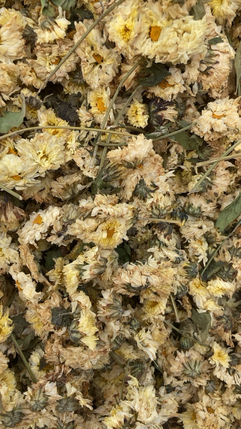 菊花，各种菊花，专业打粉20年有什么需要请私聊