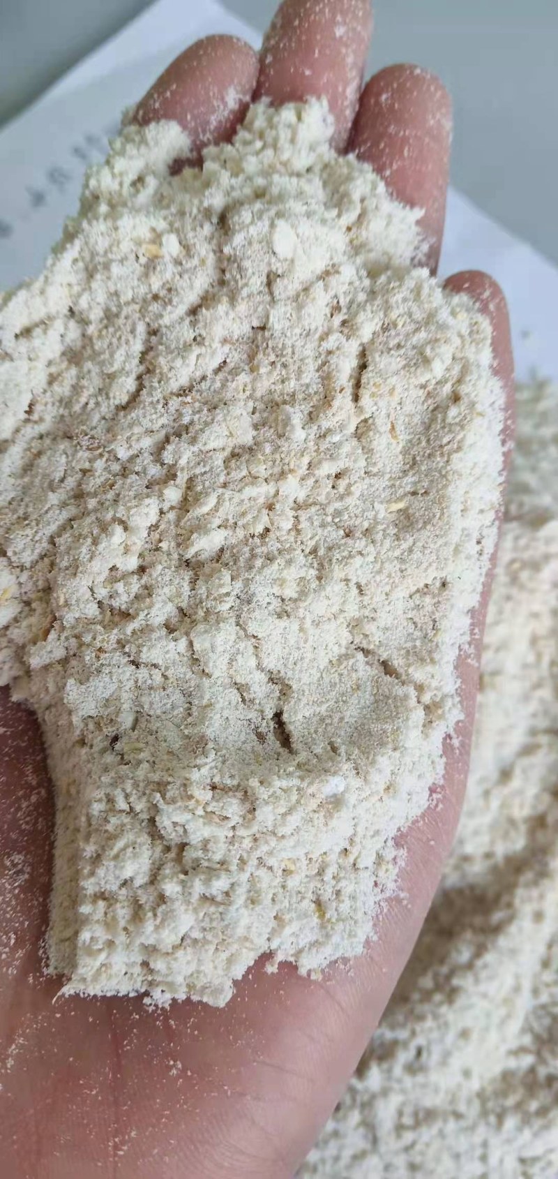 大量出售豆奶干渣大量现货一手货源