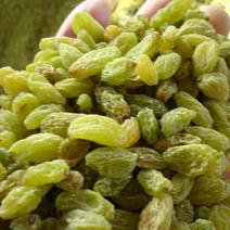 绿香妃新疆葡萄干厂家直供一手货源品质超好