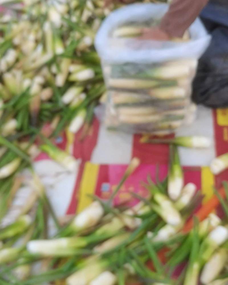 一级，二级