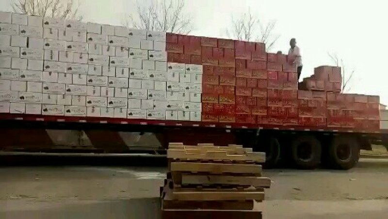 新品大卖香酥脆枣个大无核口感酥脆质优价廉。