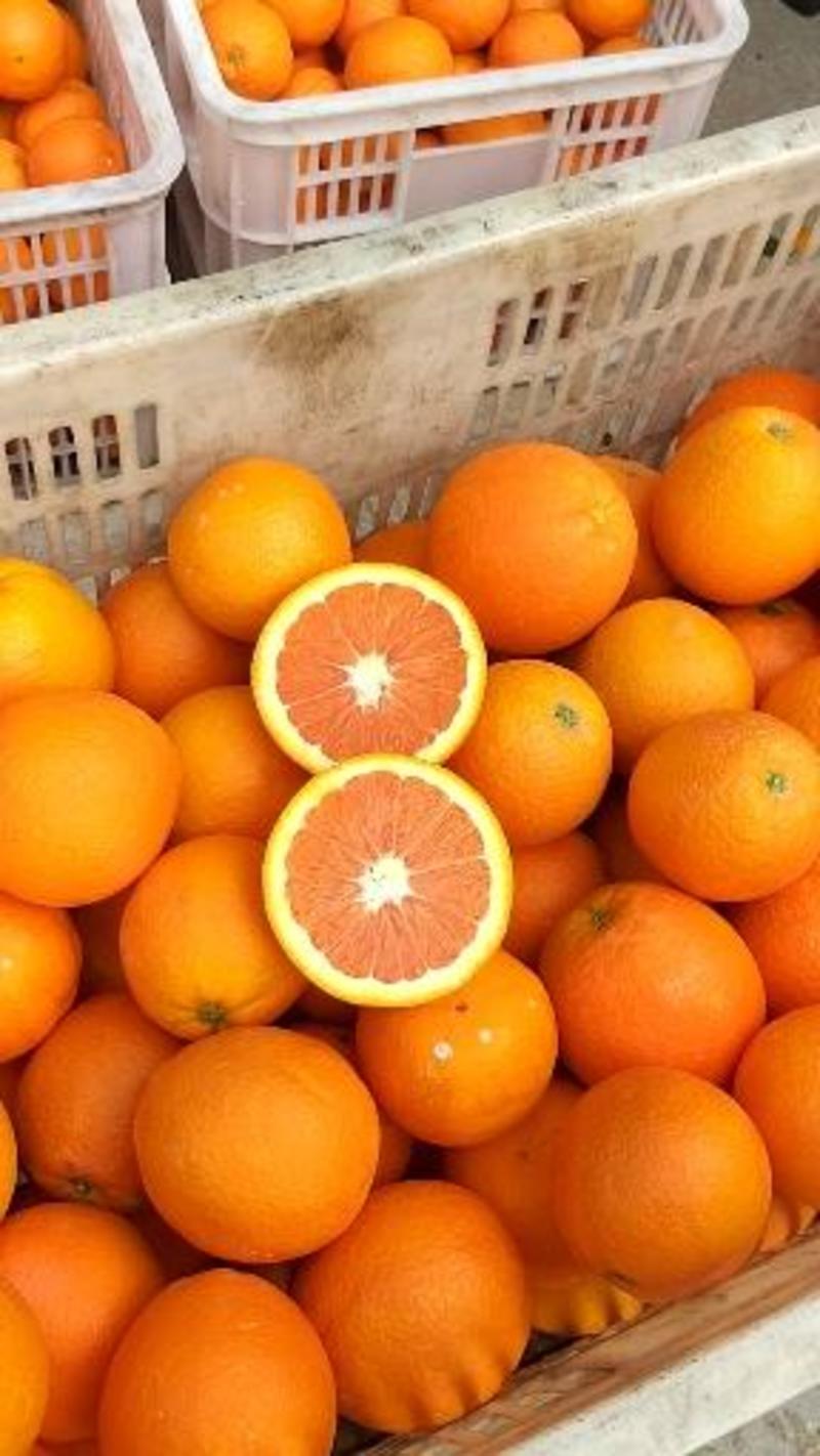 中华红脐橙红心脐橙红橙鲜果产地一手货源货源充足保证质量