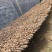 万亩大蒜种植基地，无限量供应，质优价廉