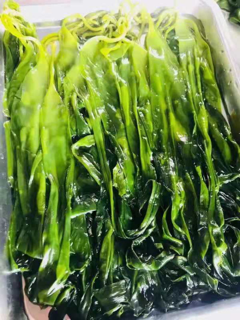东山海带苗即食鲜嫩海带芽非盐渍
