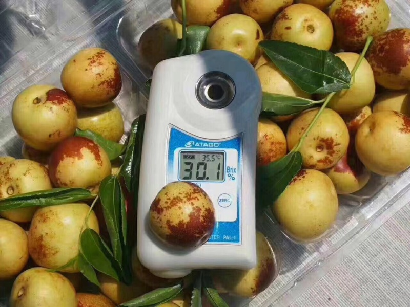大荔冬枣一件代发，对接各类商家，能起量的来