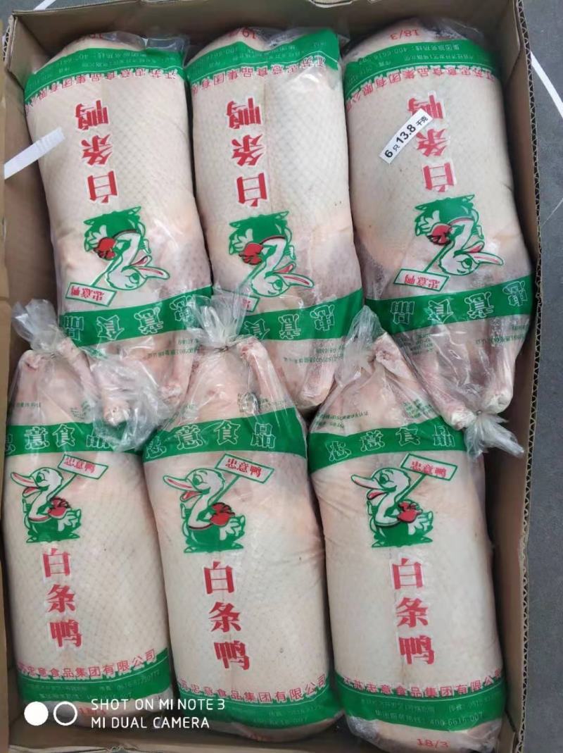 新鲜冷冻鸭子烧鸭专用大白条鸭生鸭肉卤水鸭4.6斤*6只
