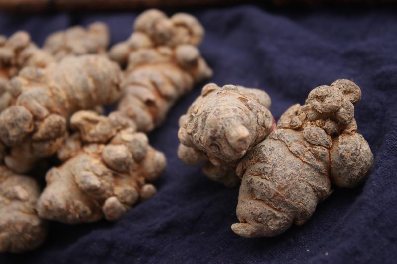 云南文山三七，无添加，价格决定质量源头销售，产地直销，