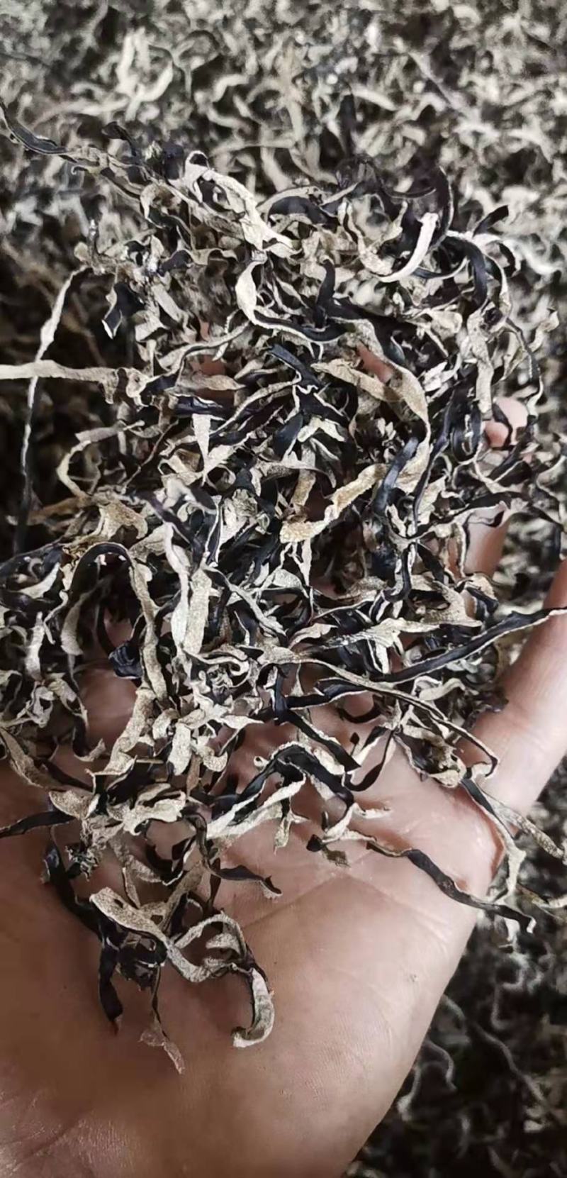 木耳丝木耳丝批发产地直发！各种规格，品质好全国包邮！