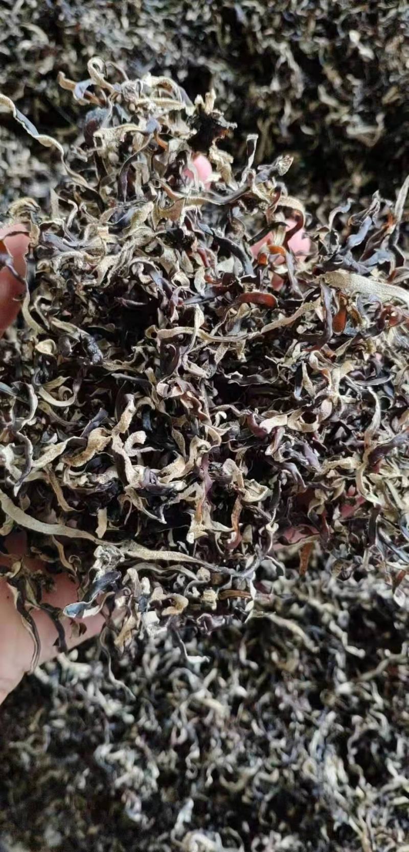 木耳丝木耳丝批发产地直发！各种规格，品质好全国包邮！