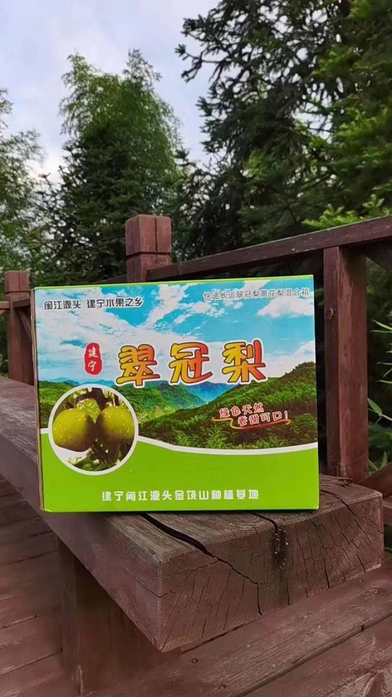 建宁黄花梨