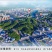 建宁黄花梨