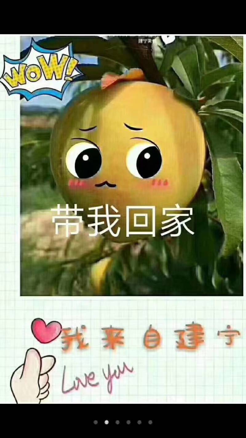 建宁锦绣黄桃