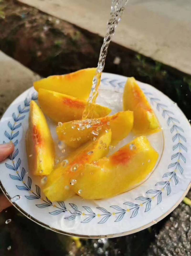 建宁锦绣黄桃