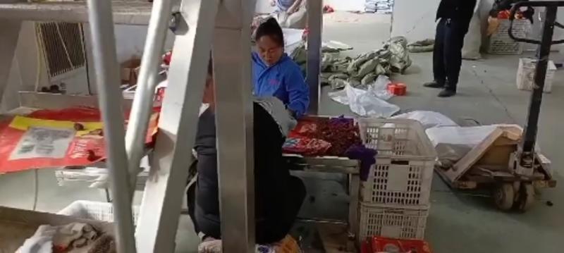 供平台社区新疆和田大枣和田骏枣厂家直供大量现货可袋装
