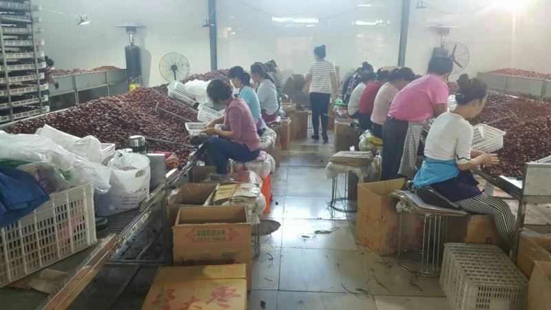 无核枣，去核枣厂家直供货源充足，质优价廉