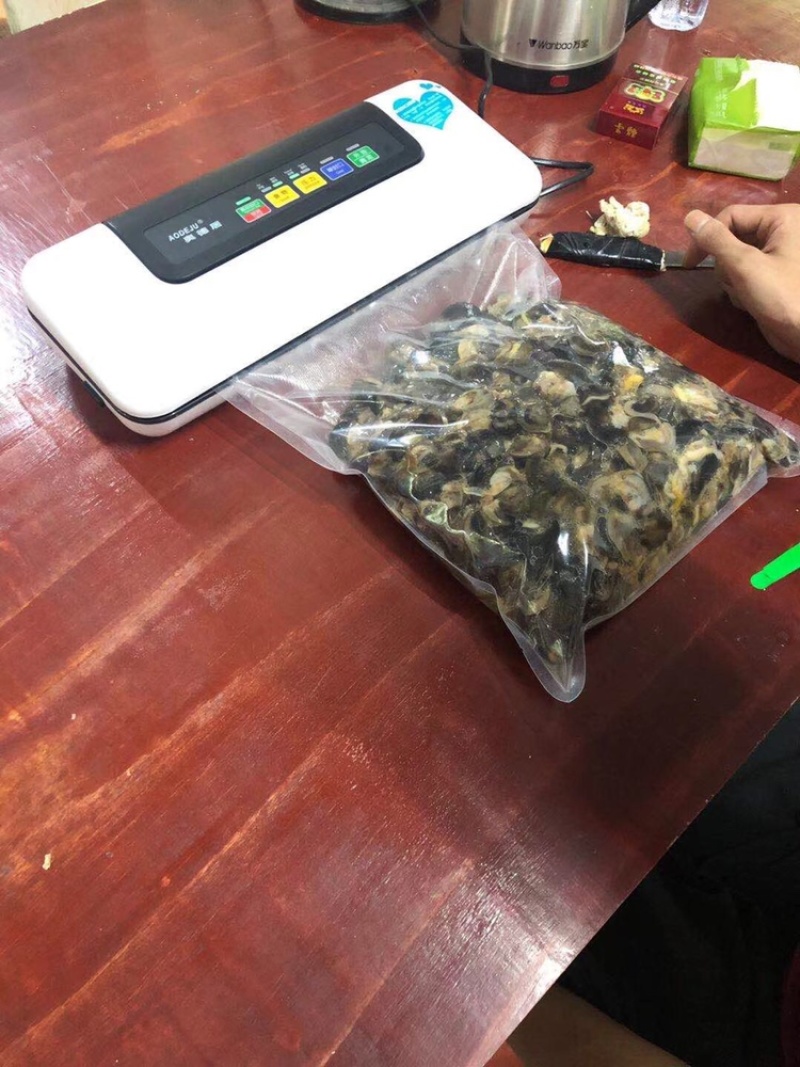 大量收购黑蜗牛非洲蜗牛山螺玛瑙蜗牛有货的联系我