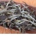 福鼎白茶2014年二级白牡丹散茶500克