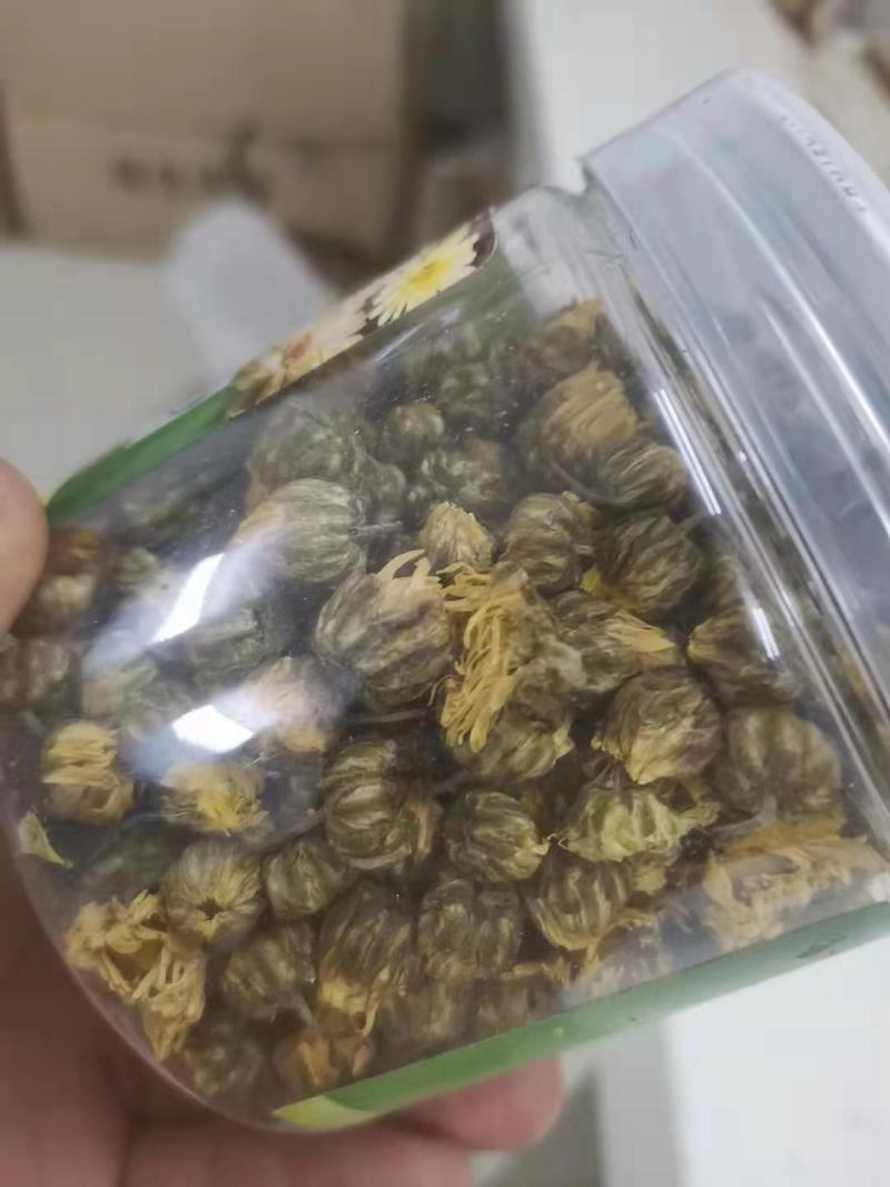 胎菊茶罐装袋装都有量少也批发新货胎菊杭白菊