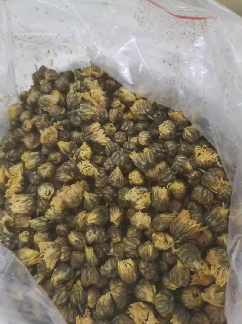 胎菊茶罐装袋装都有量少也批发新货胎菊杭白菊