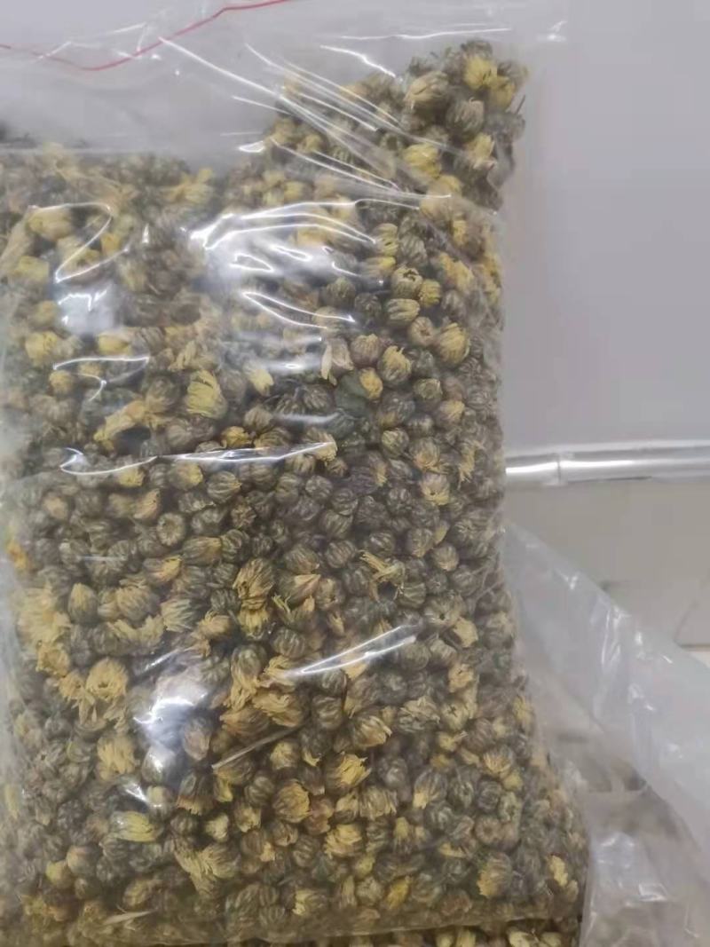 胎菊茶罐装袋装都有量少也批发新货胎菊杭白菊