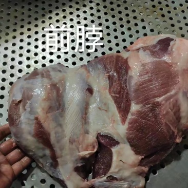 老母猪肉，精修2号，大型屠宰厂屠宰，都近期新货