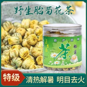 胎菊茶罐装袋装都有量少也批发新货胎菊杭白菊