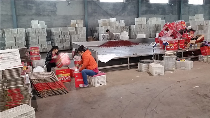 社区团购电商带货若羌红枣片灰枣片红枣***纯手工制作