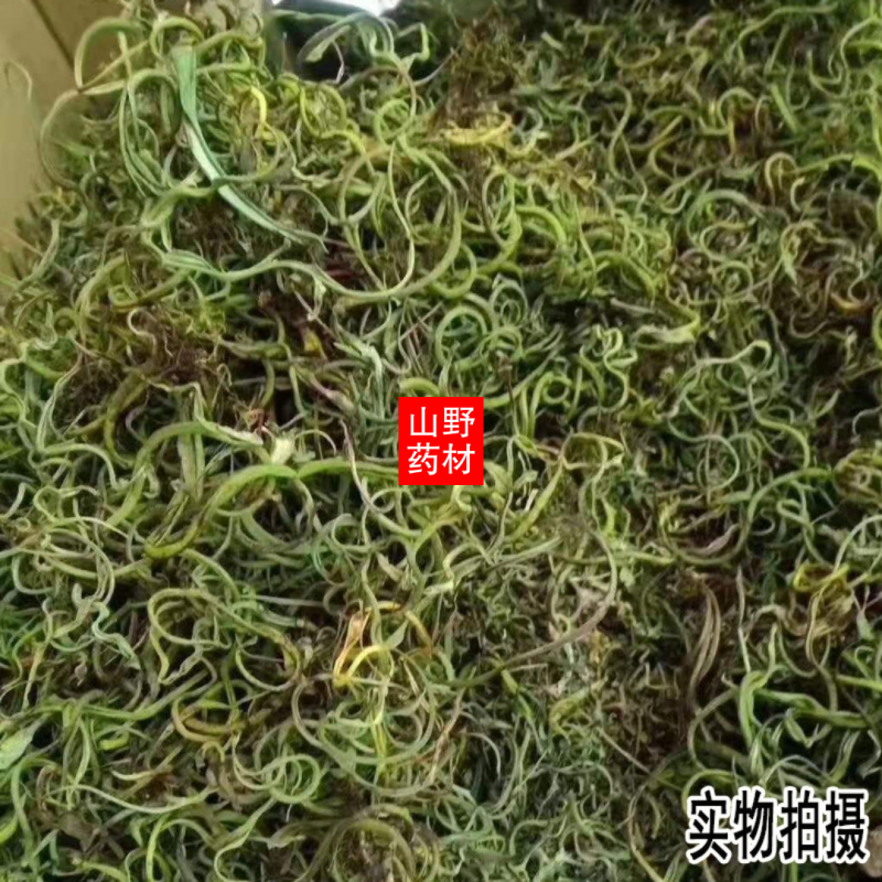 250g包邮老挝野生中草药化石草肾精草