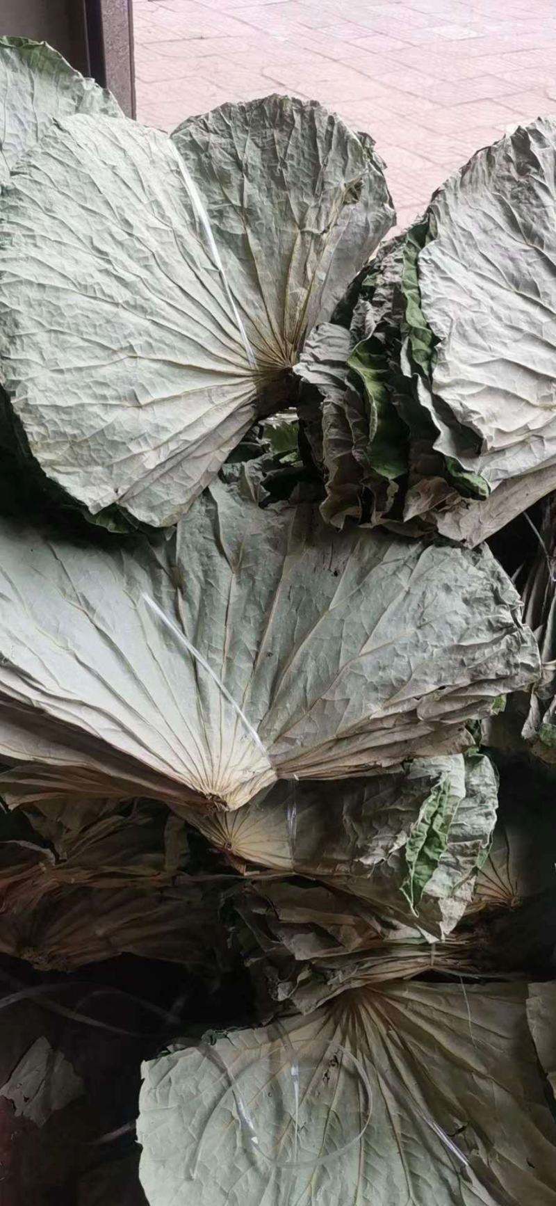 干荷叶