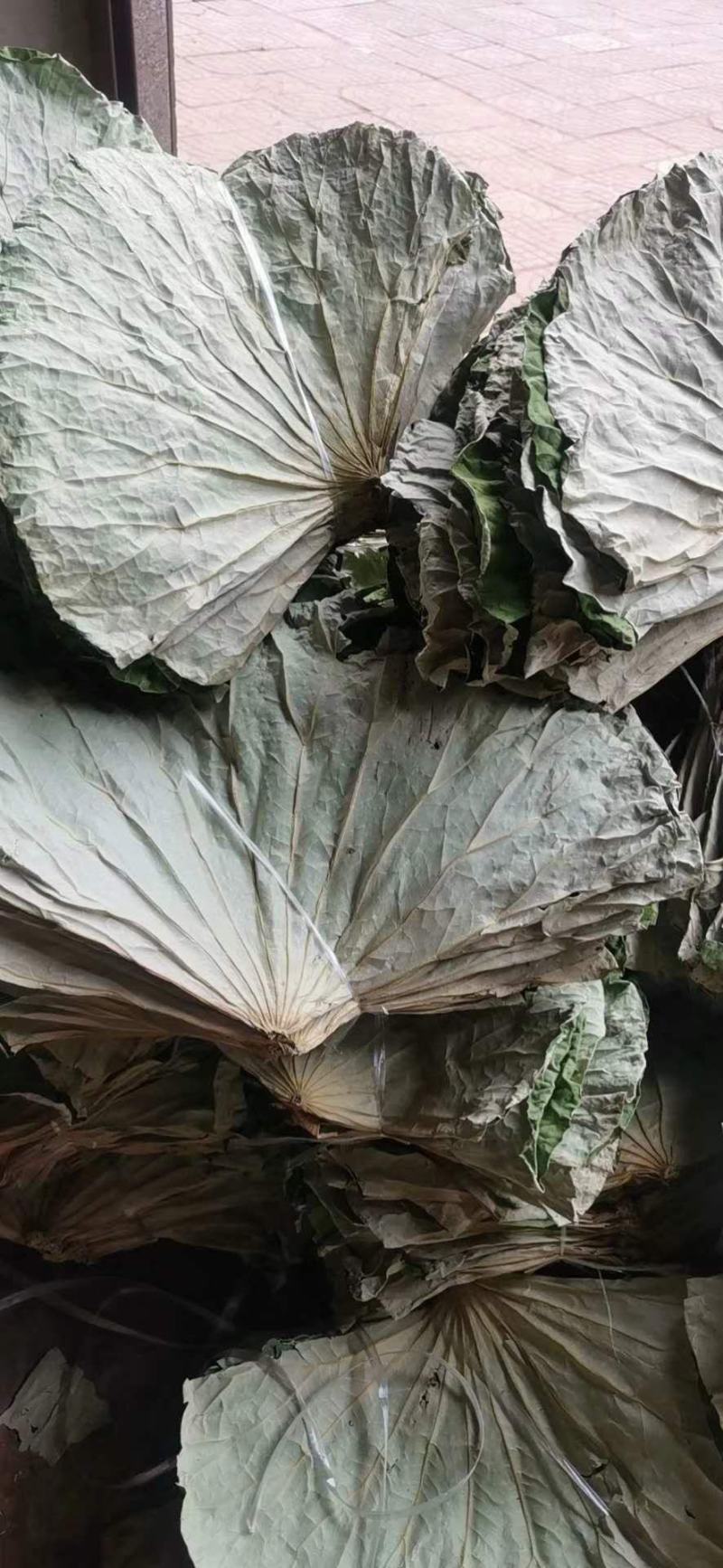 干荷叶
