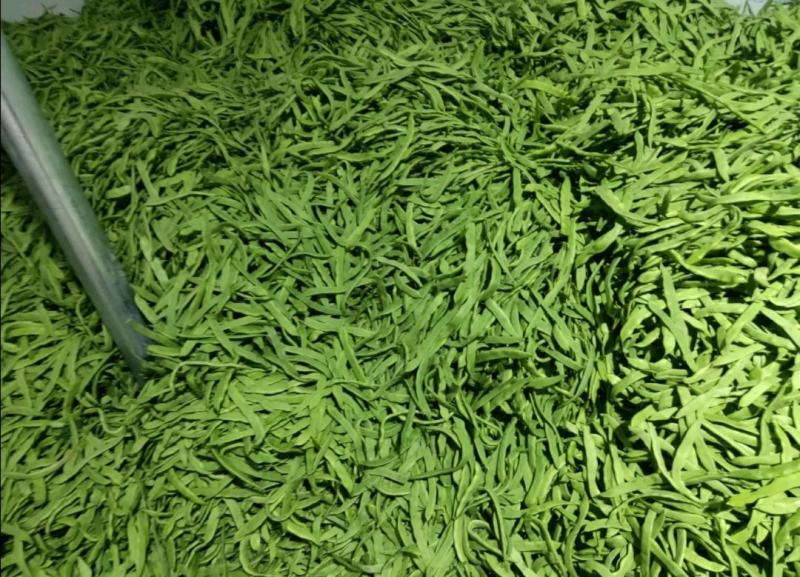蔬菜产地供应一手货源充足