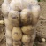 土豆，沃士5.，个头大，薯形好，皮色光，无虫眼。