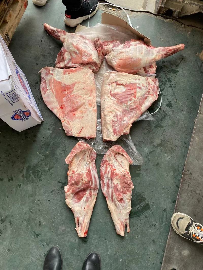 大羊六分体，炖锅，剔肉都合适，欢迎电联系询价