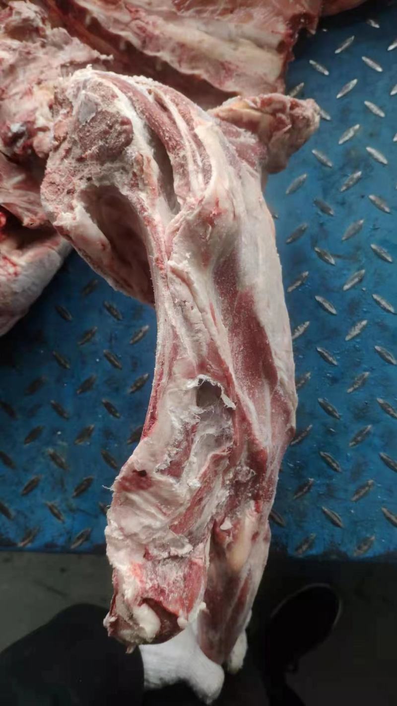 大羊六分体，炖锅，剔肉都合适，欢迎电联系询价