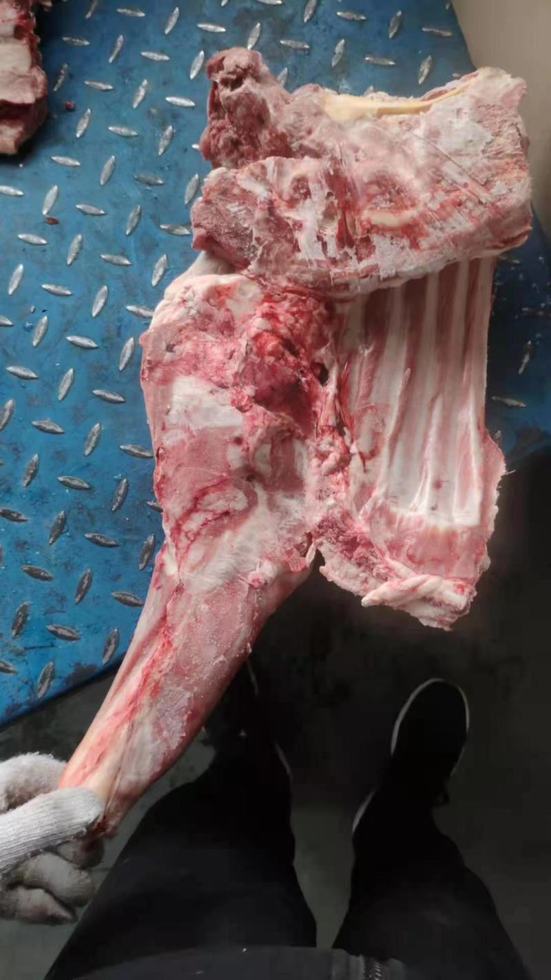 大羊六分体，炖锅，剔肉都合适，欢迎电联系询价