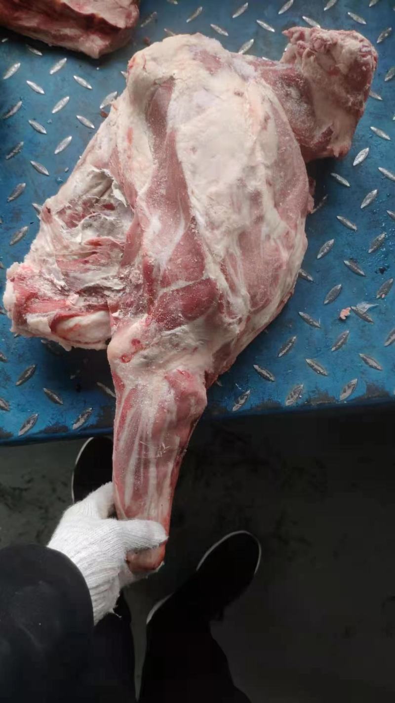 大羊六分体，炖锅，剔肉都合适，欢迎电联系询价