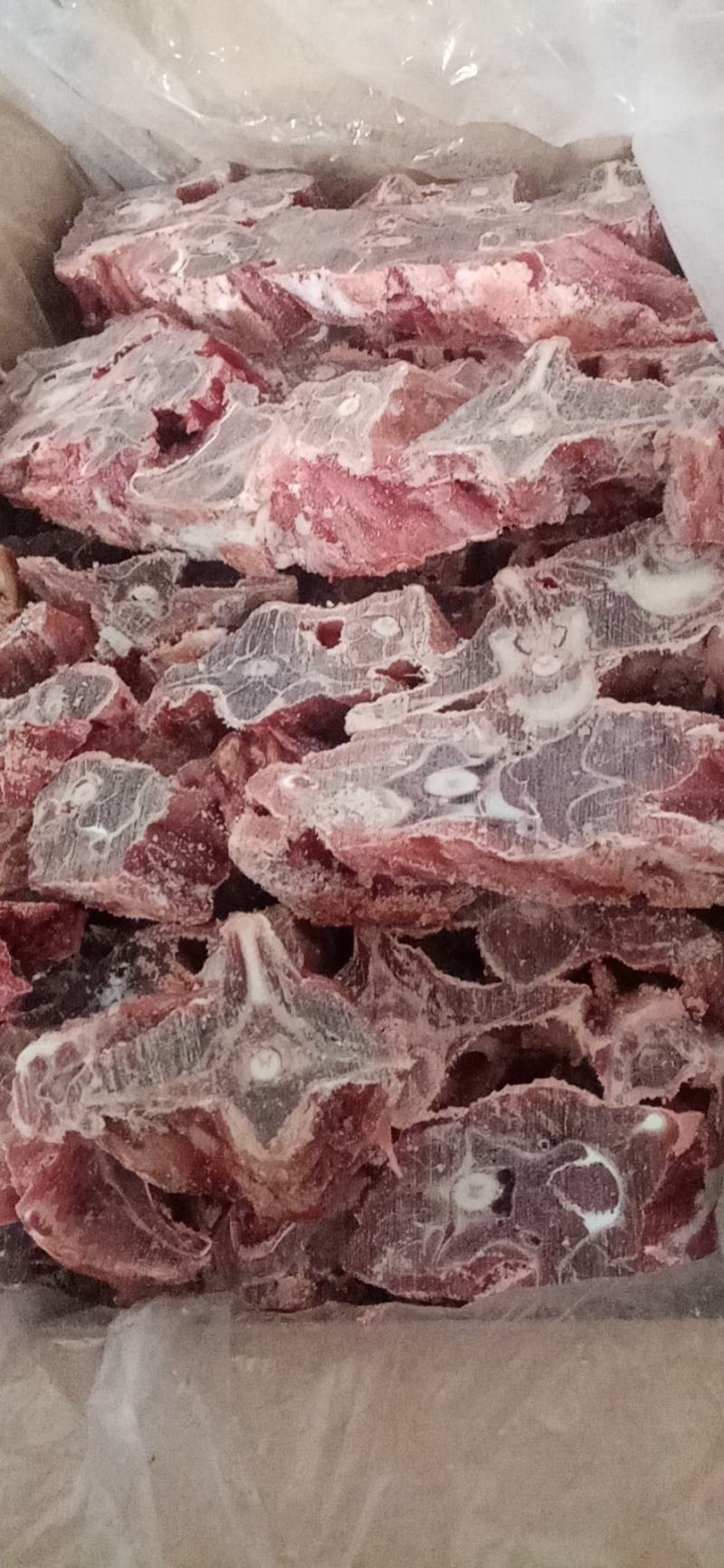 羊蝎子，多肉内蒙羊蝎子，