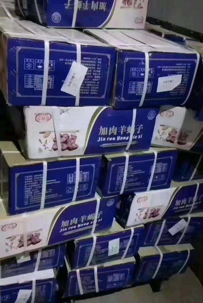 羊蝎子，多肉内蒙羊蝎子，