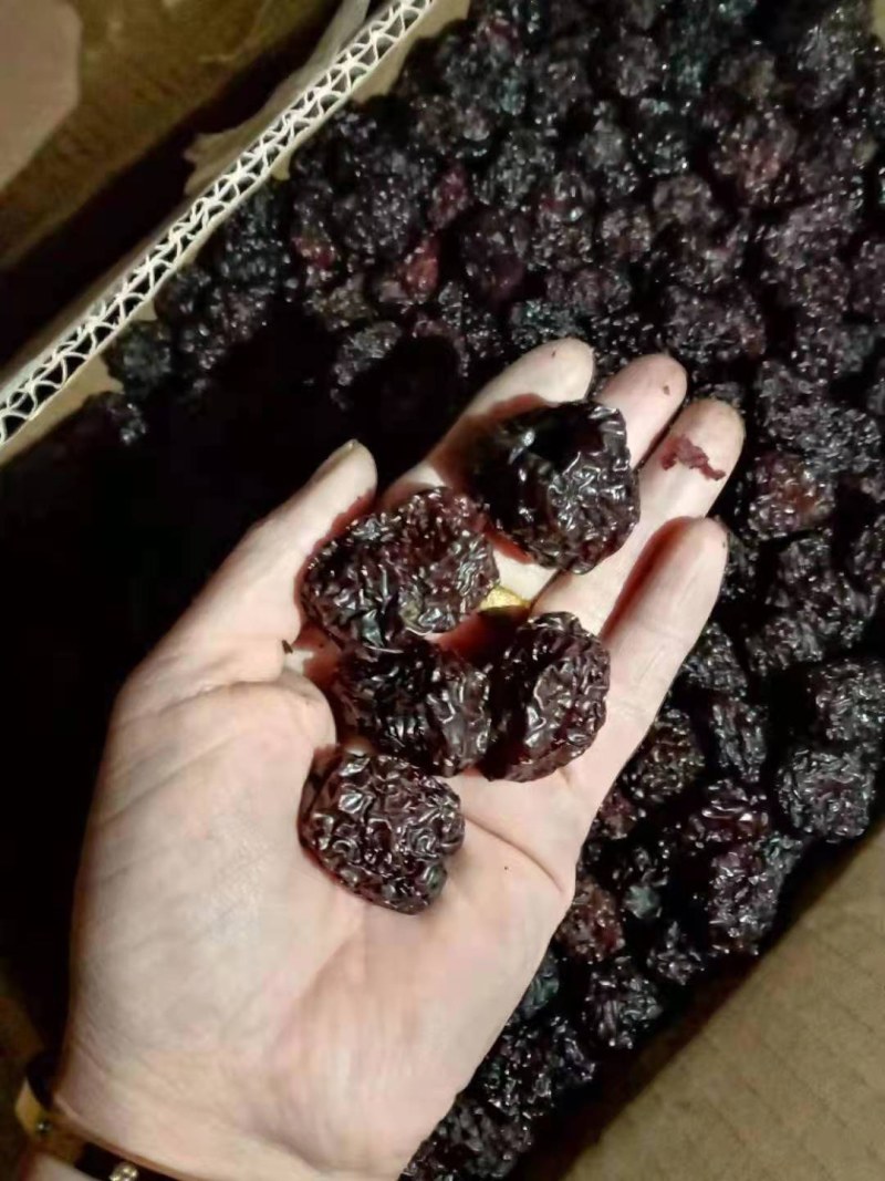 新品推荐乌枣紫晶枣黑枣厂家直供批发品质保证物美价廉