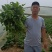 大量供应商薯19红薯苗脱毒红薯苗，基地直供，高产高淀粉。