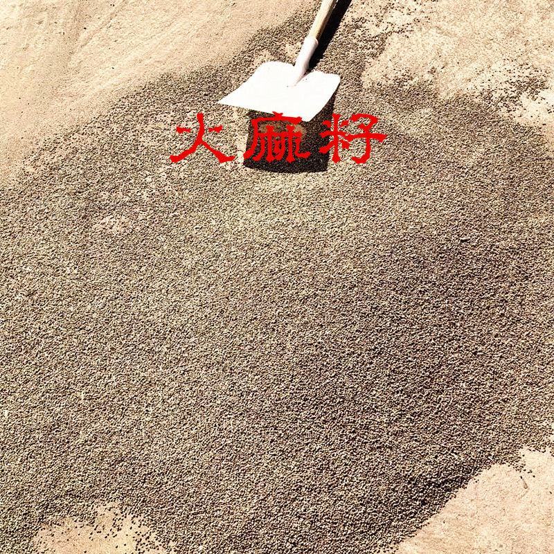 山西特产火麻油长寿油真正营养油