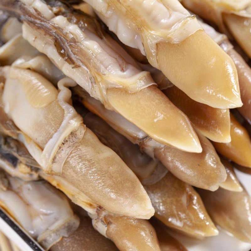 自己家海滩出品的大蛏子，海蛏子，个头大，味道鲜，价格美丽