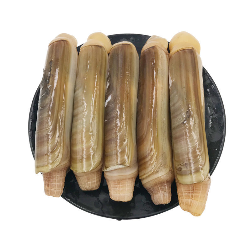 自己家海滩出品的大蛏子，海蛏子，个头大，味道鲜，价格美丽