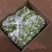 海南皇帝蕉产地直发新鲜供应