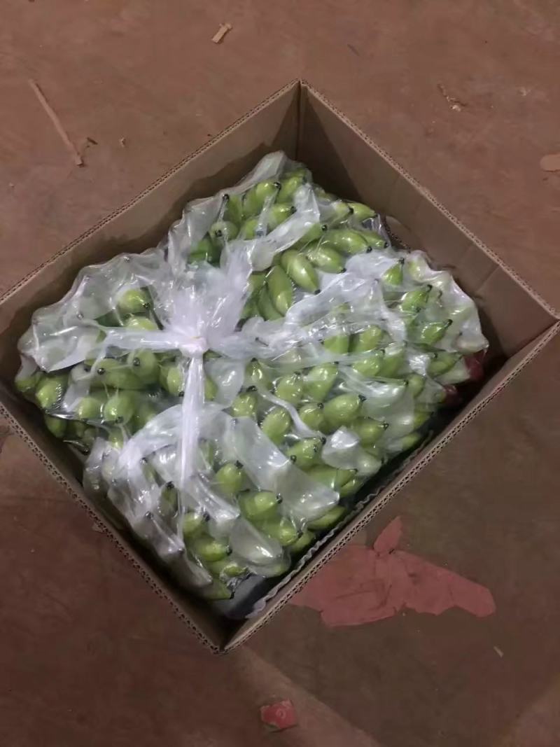 海南皇帝蕉产地直发新鲜供应