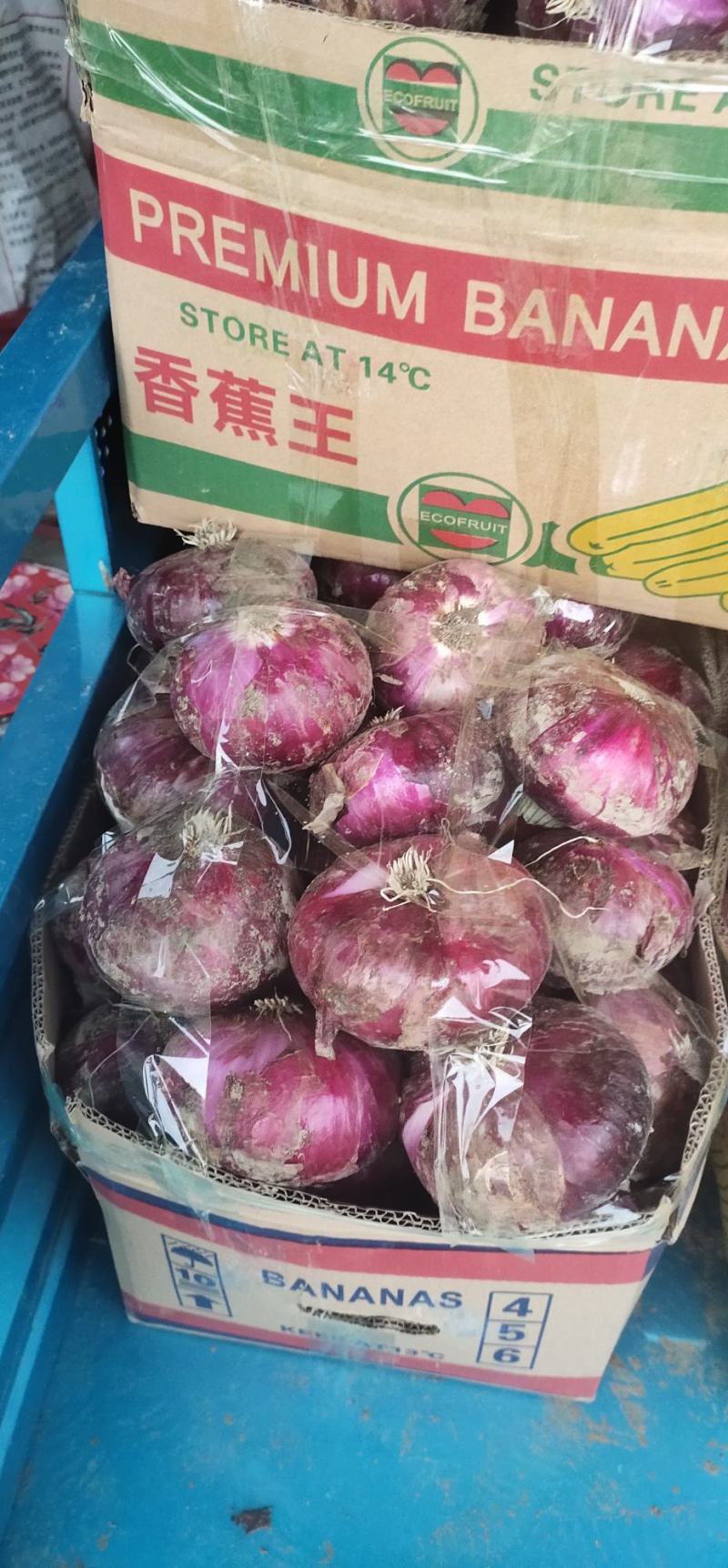 紫丹洋葱大量上市，郭云农产品购销